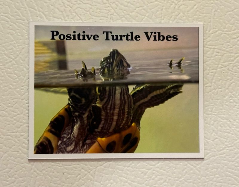 Positive Vibes Magnet
