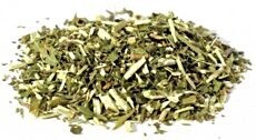 Blue Vervain