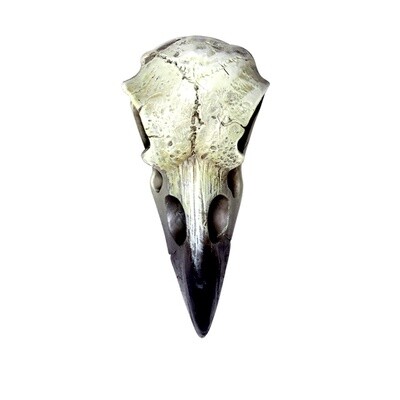 Reliquary Raven Skull - Resin