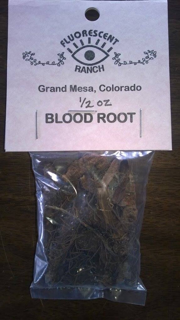 Bloodroot