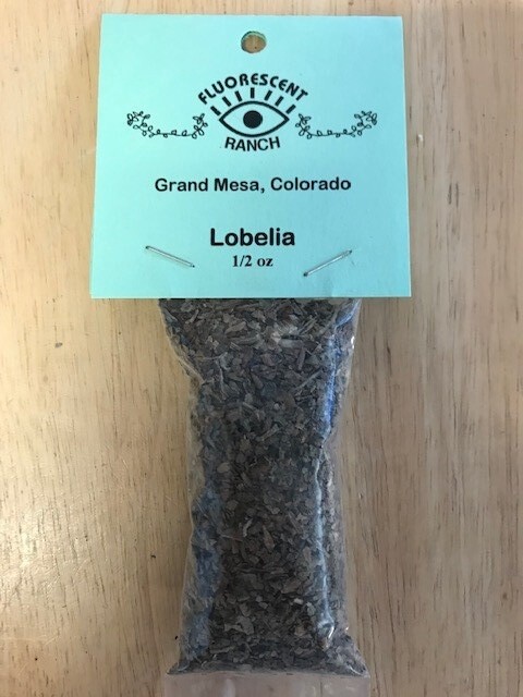 Lobelia