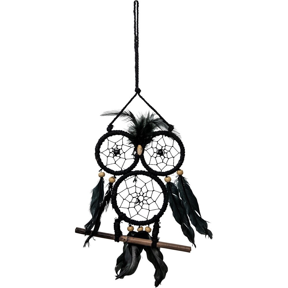 Dream Catcher Perched Wise Owl