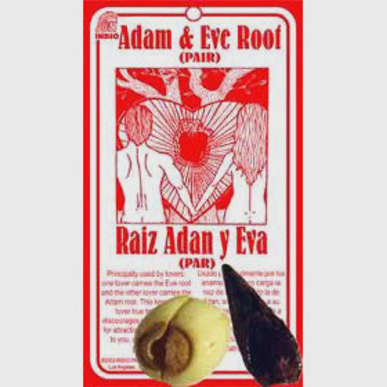 Adam &amp; Eve Root