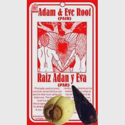 Adam &amp; Eve Root