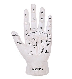 Fortune Teller Palm C/16