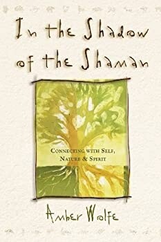 In the Shadow of the Shaman: Connecting with Self, Nature &amp; Spirit (Llewellyn&#39;s New Worlds Spirituality Series)