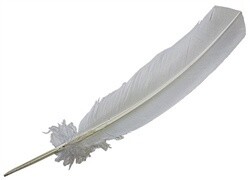 Turkey Feather