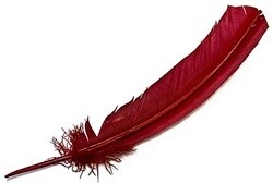 Turkey Feather