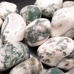 Agate, Tree
