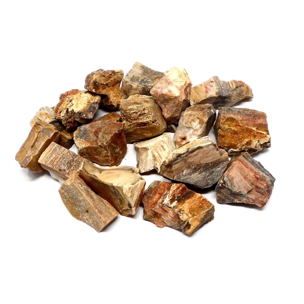 Petrified Wood