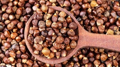 Grains of Paradise