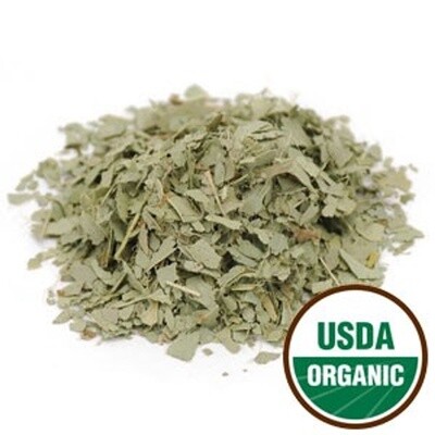 Eucalyptus Leaf Organic