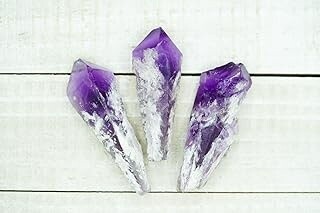 Bahaia Amethyst w/Root