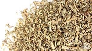 Pennyroyal