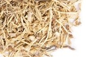 Nettle Root