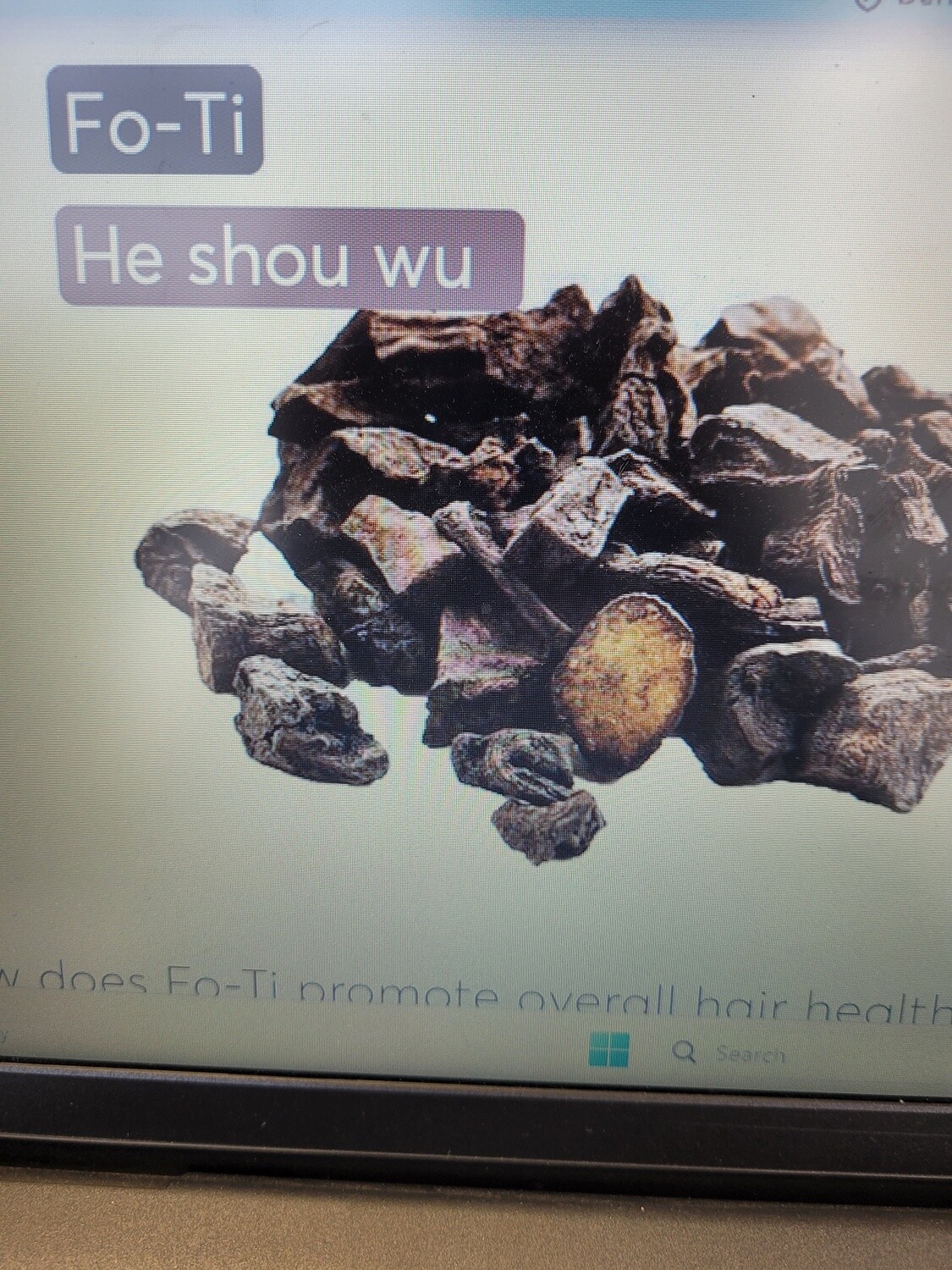 Fo Ti (ho-shou-wu)