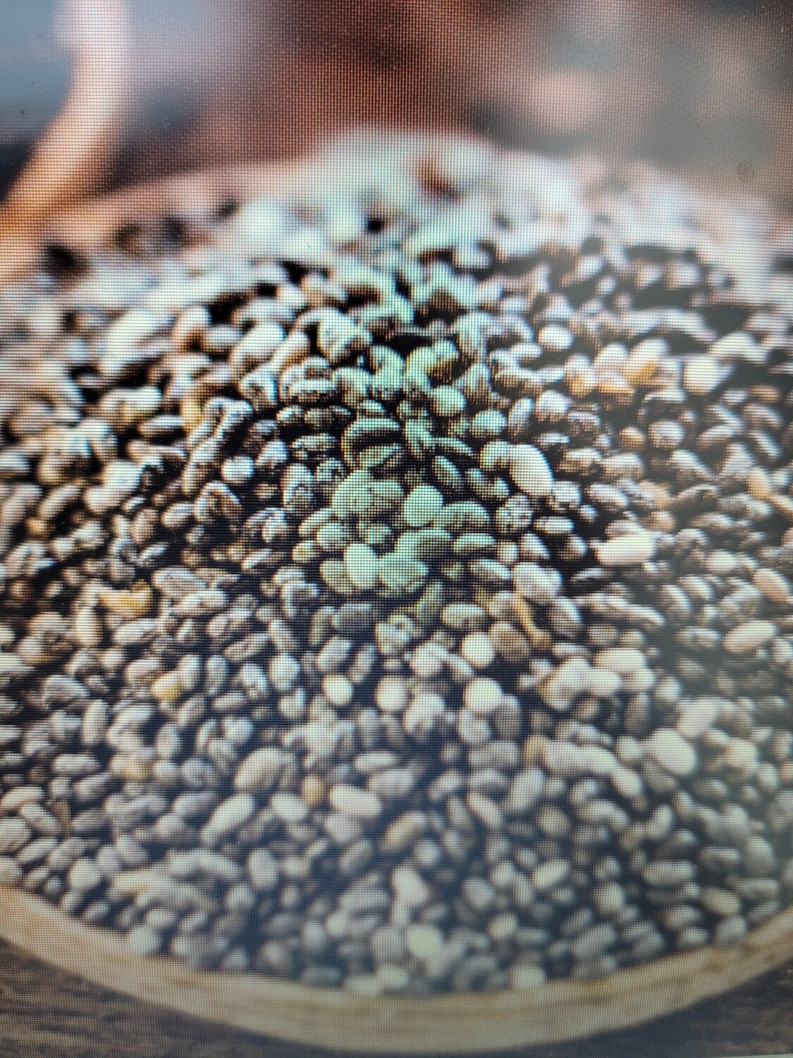 chia seed, whole