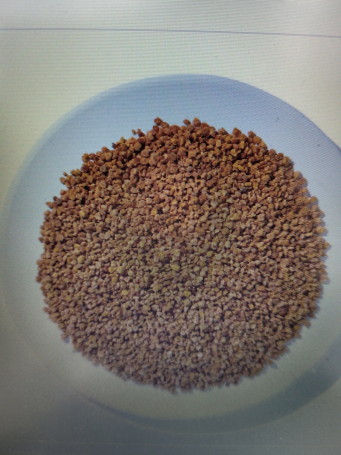 bee pollen granules