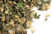Catnip
