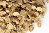 Astragalus root
