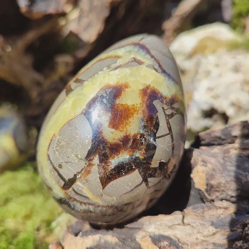 Healing Crystal Dragon Egg- Natural Turtle Back