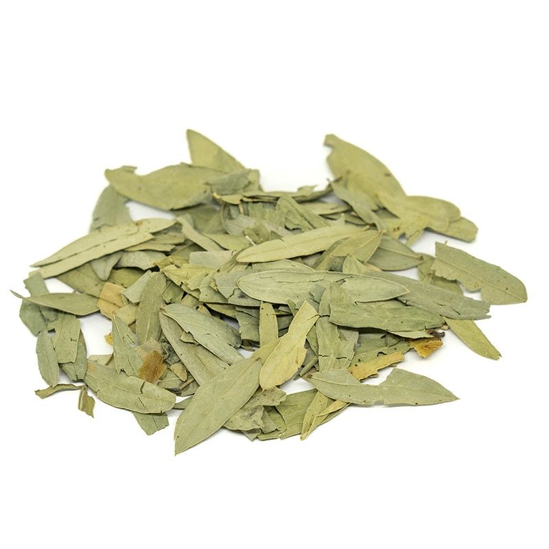 Seena Leaf