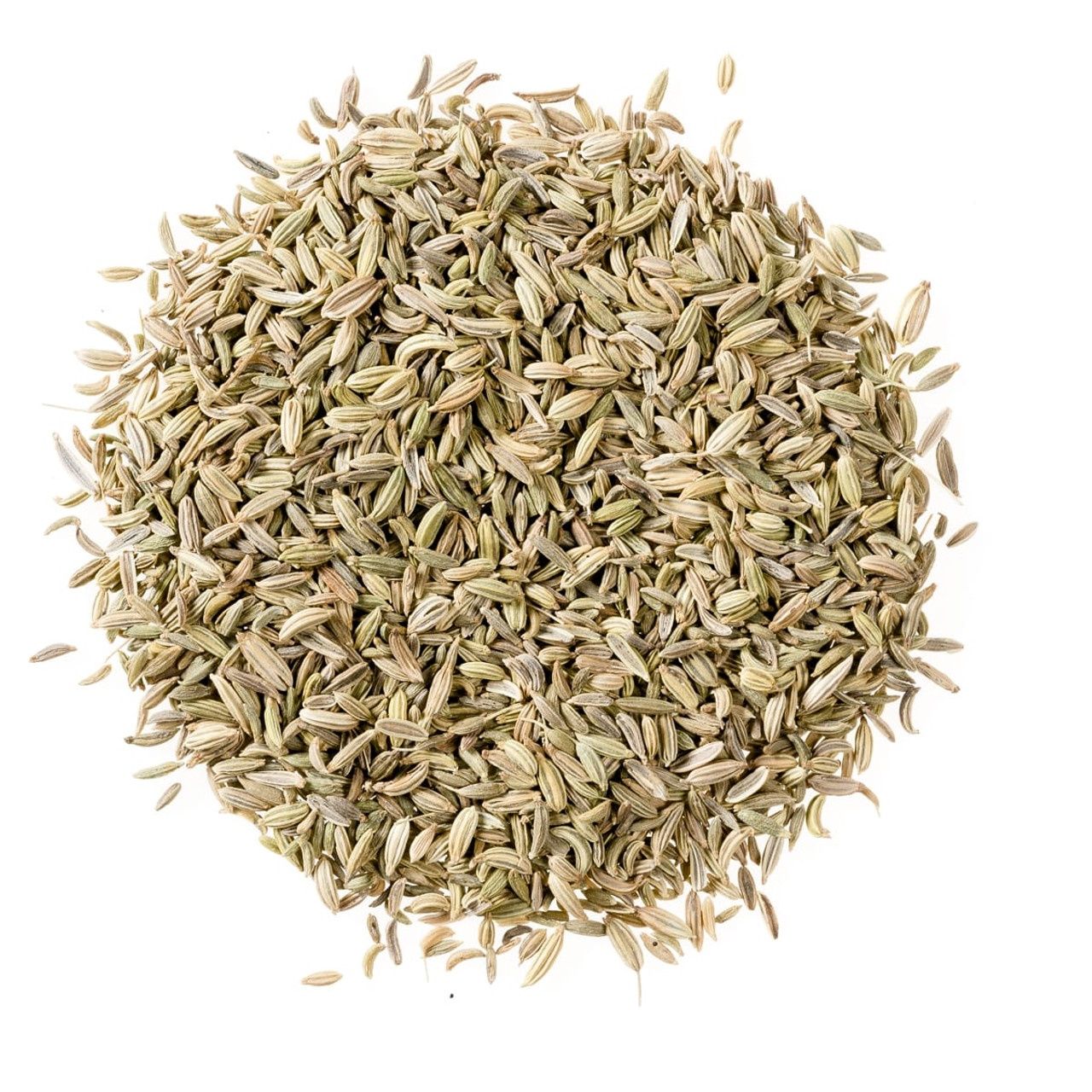 Fennel Seed