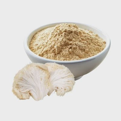 Lion&#39;s Mane Mushroom Powder