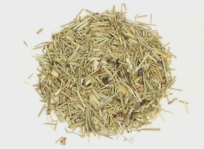 Horsetail (Shavegrass)