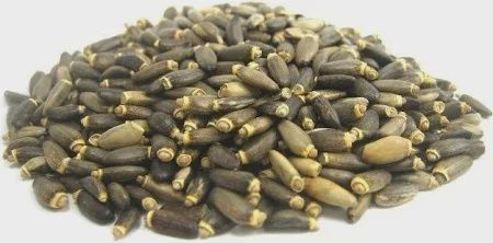 Milk Thistle Seed