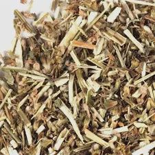 Motherwort
