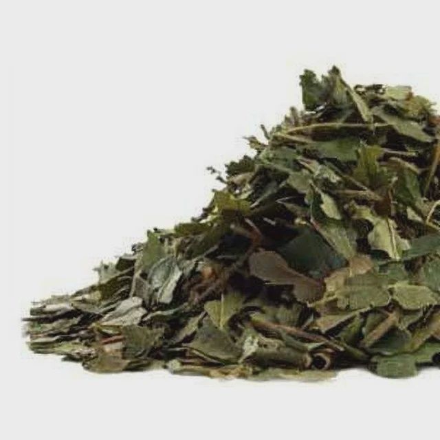 Witch Hazel - large