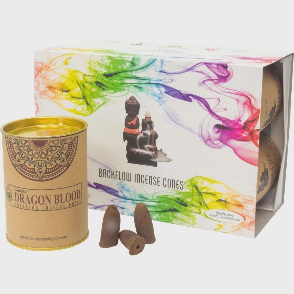 Backflow Cones Can of 24