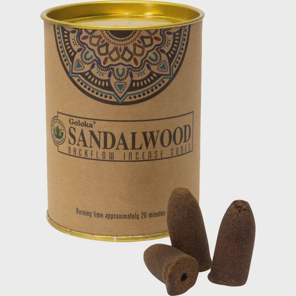 Backflow Cones Can of 24