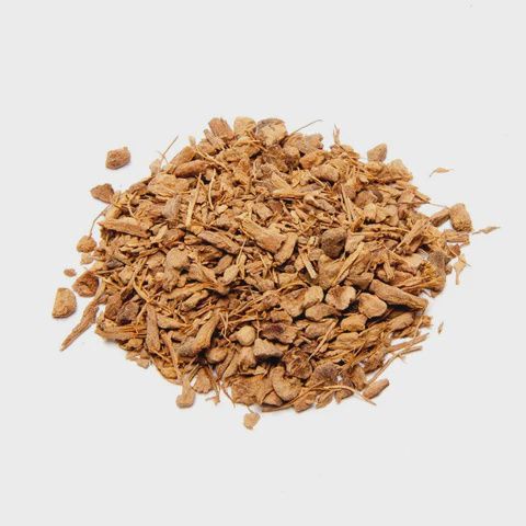 Galangal Root-Chewing John
