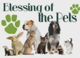 Pet Blessing