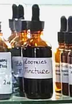 Zoomies Tincture