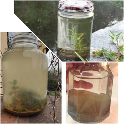 Lake River and Ocean