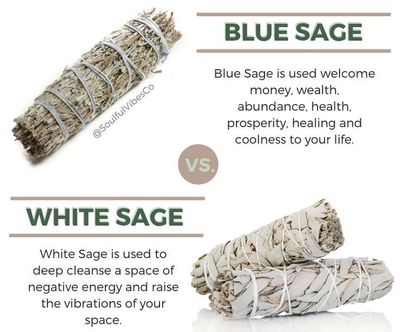 Blue Sage/White Sage