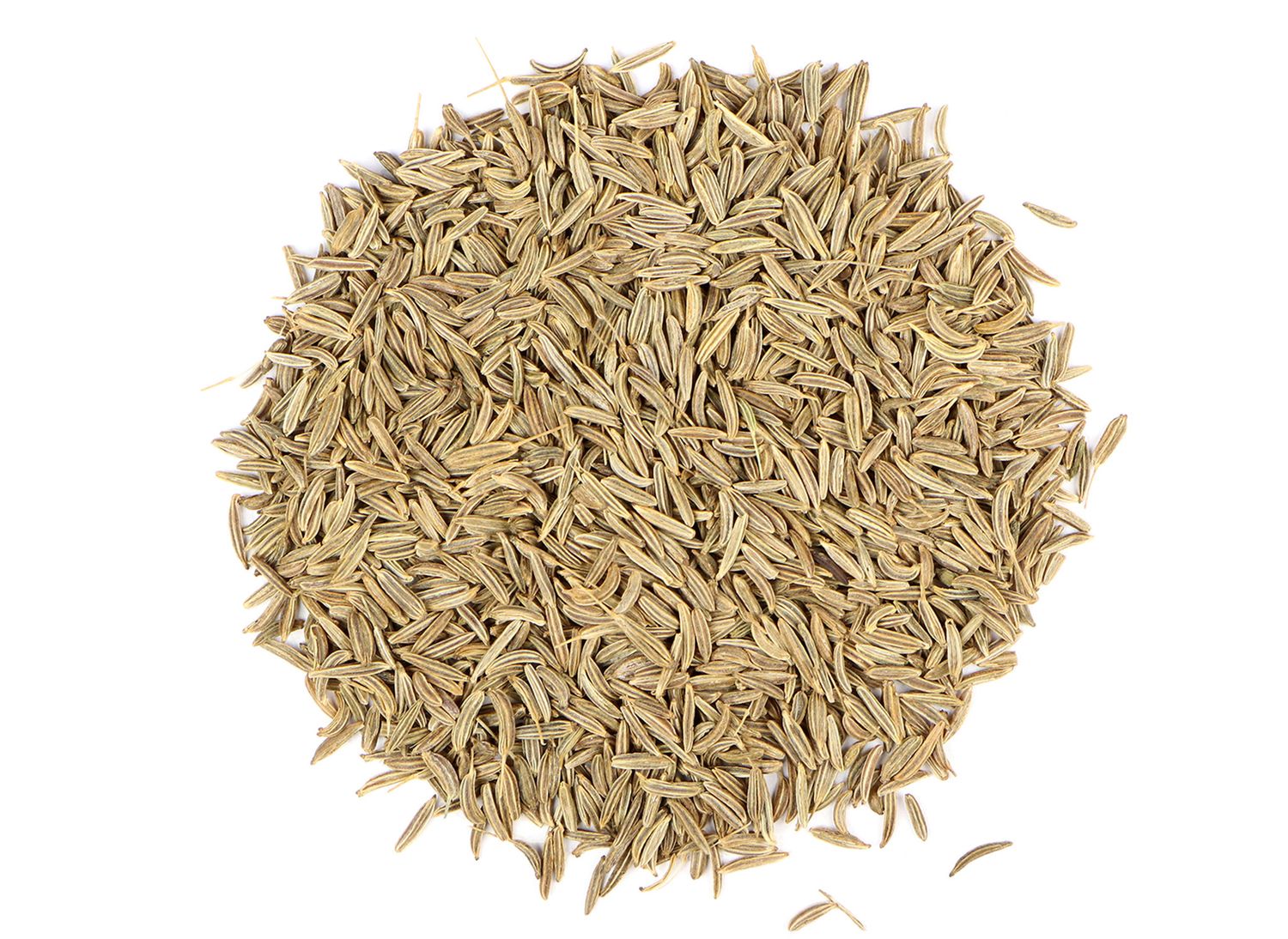 Caraway/oz