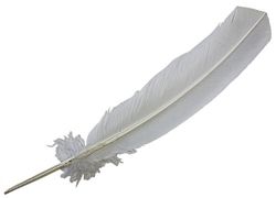 Turkey Feather