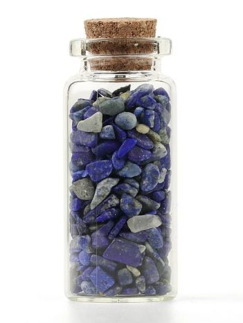 Chip Bottle Necklace