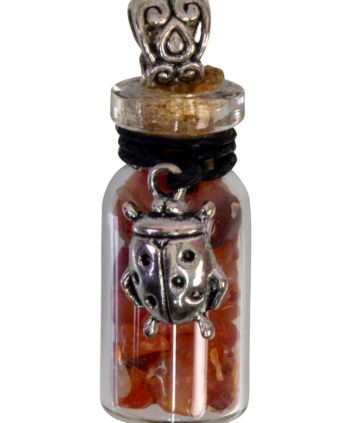 Chip Bottle Necklace