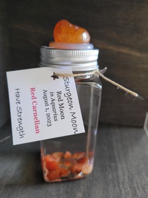 Moon Water - Sturgeon Moon with Red Carnelian - 08/01/23 - Have Strength