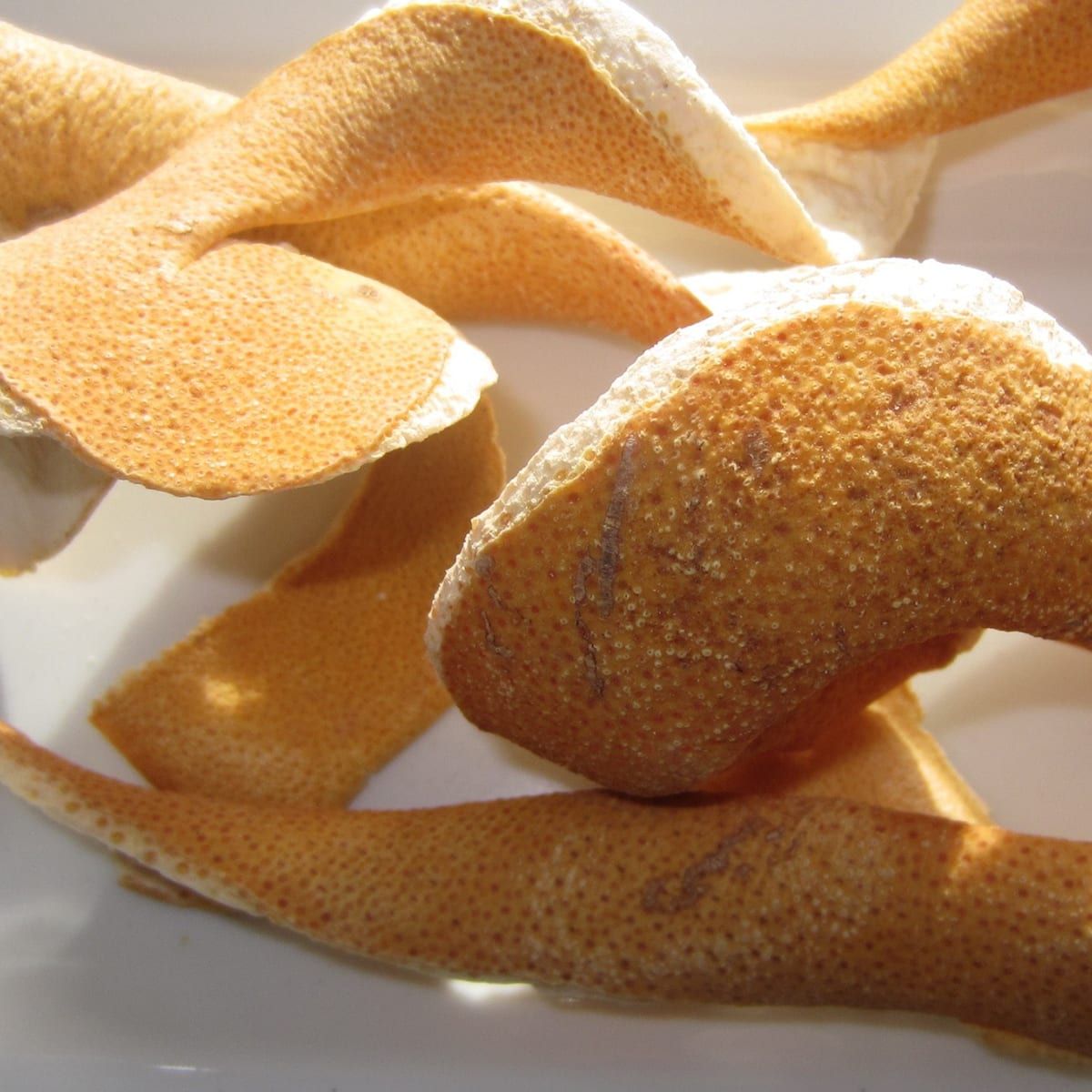 Grapefruit Peel /oz