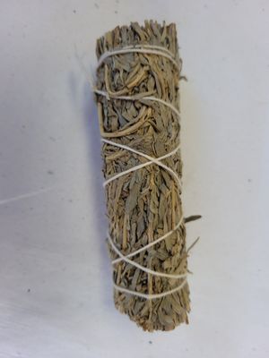 Blue Sage Smudge Stick 4"
