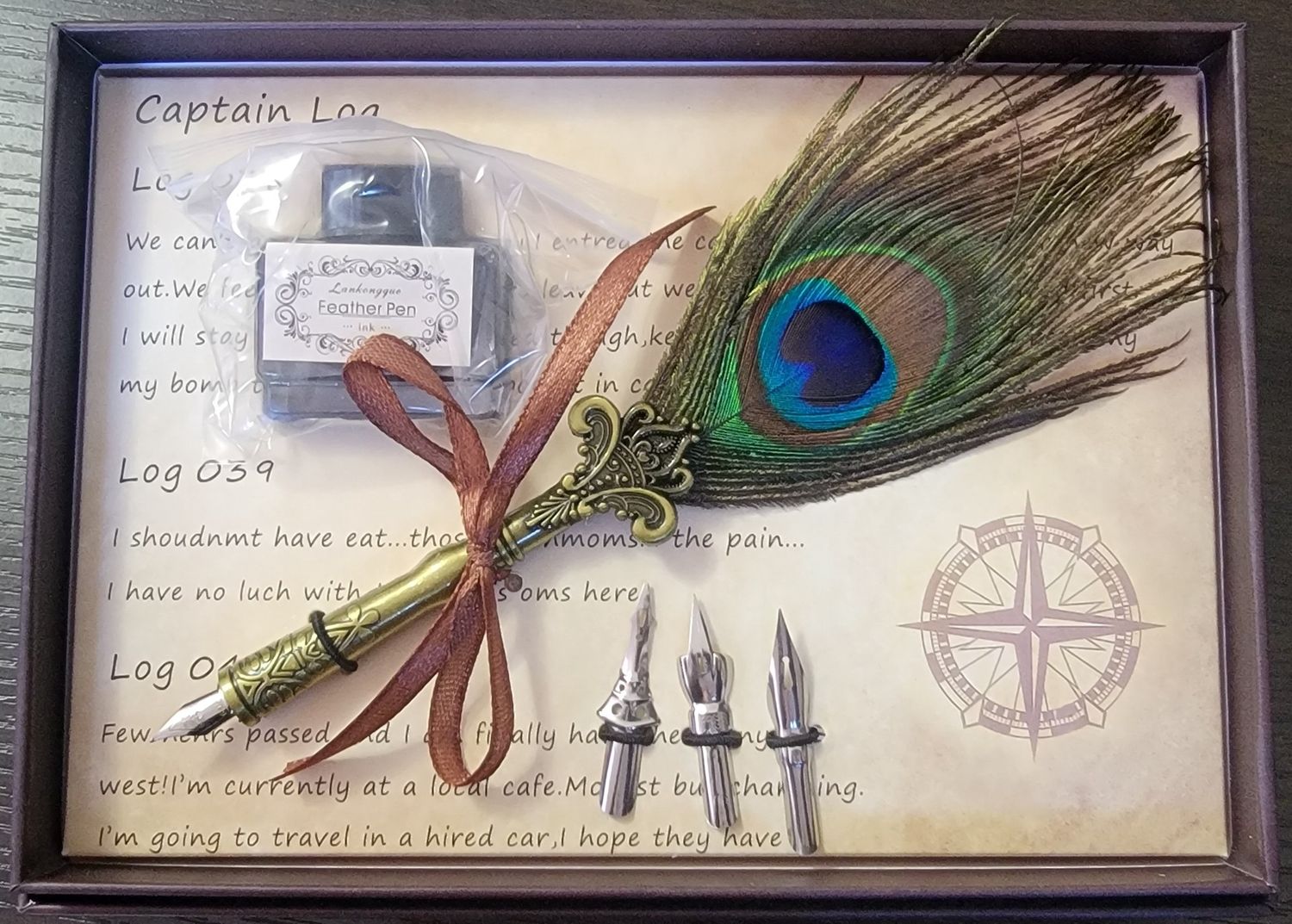 Feather Quill Pen and Ink Set