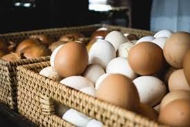Eggs