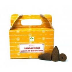 SATYA Backflow Cones