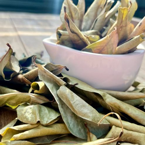 Soursop Leaves Graviola